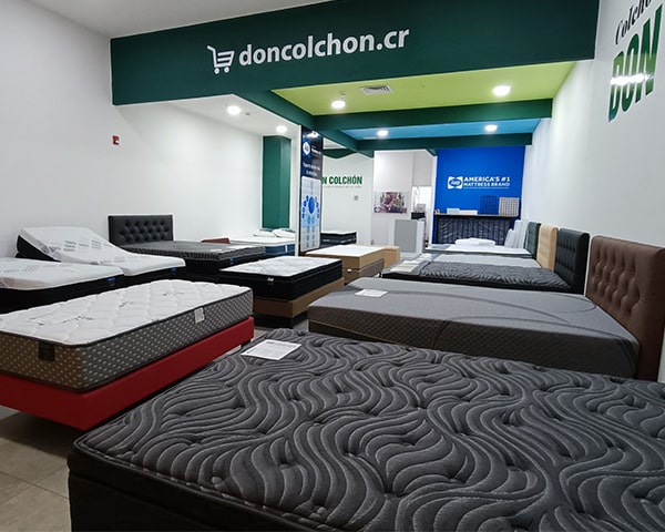 Colchoner&iacute;a