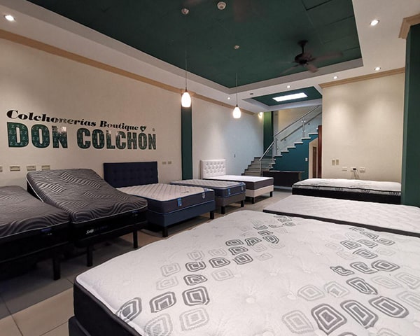 Colchoner&iacute;a